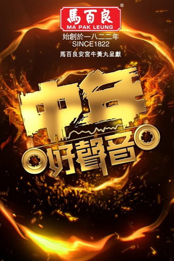 中年好声音 中年好声音海报
