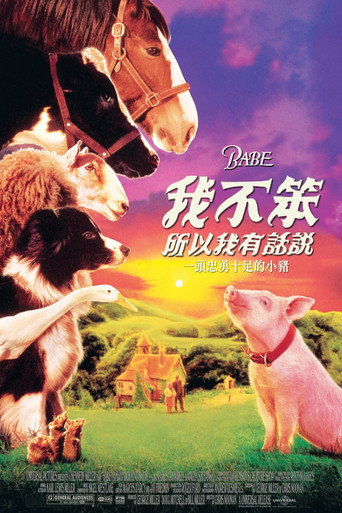 小猪宝贝海报