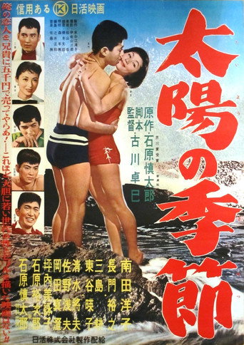 太阳的季节海报