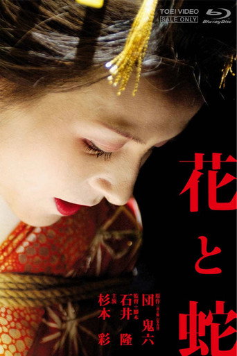 花与蛇海报