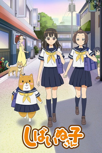 柴犬子海报