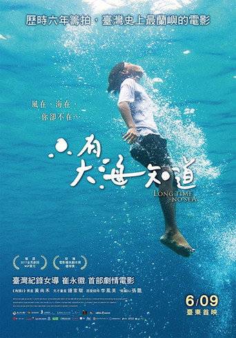 只有大海知道海报