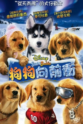 雪地巴迪海报