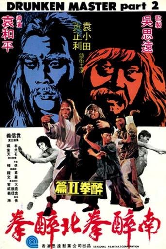 南北醉拳海报
