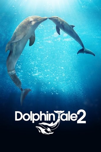 海豚的故事2海报
