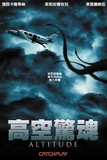 高空飞行海报