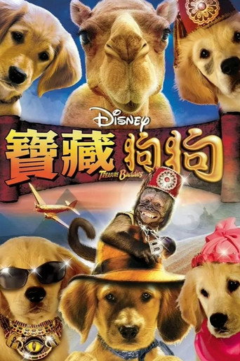 护宝巴迪海报