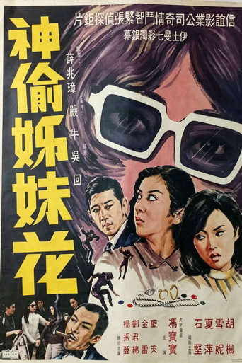 神偷姊妹花海报