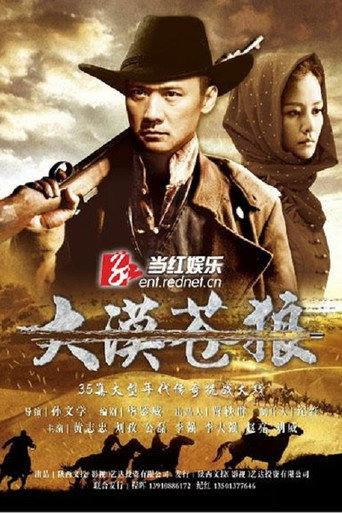 大漠苍狼海报
