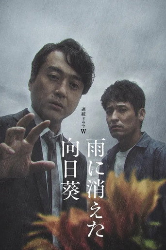 雨中消失的向日葵海报