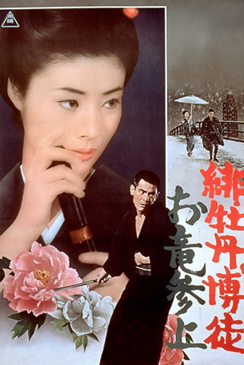 红牡丹赌徒：拜见阿龙海报