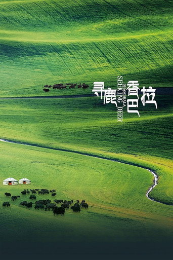 寻鹿香巴拉海报
