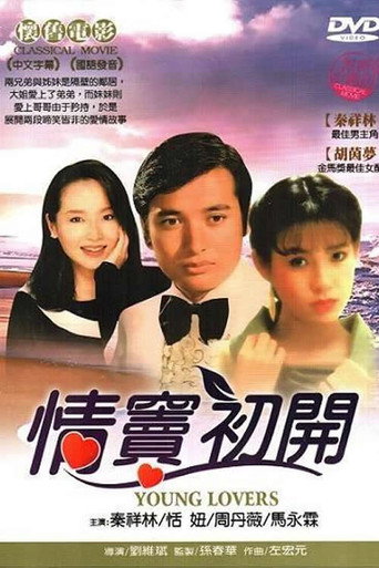 情窦初开海报
