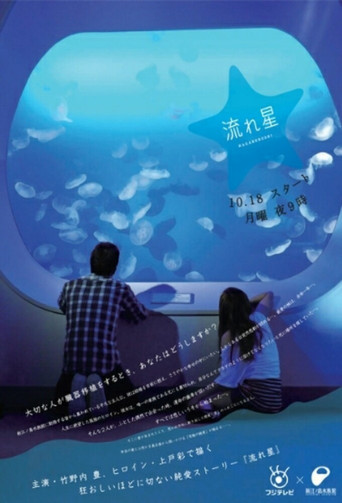 流星海报