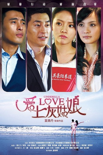 爱上灰姑娘海报