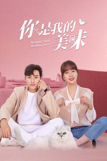你是我的美味海报
