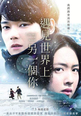 风之颜色海报