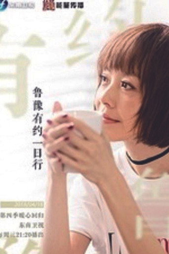 鲁豫有约一日行 第 4 季海报