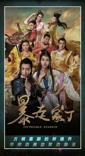 暴走家丁海报
