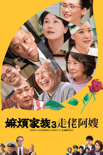 家族之苦3：蔷薇之妻海报