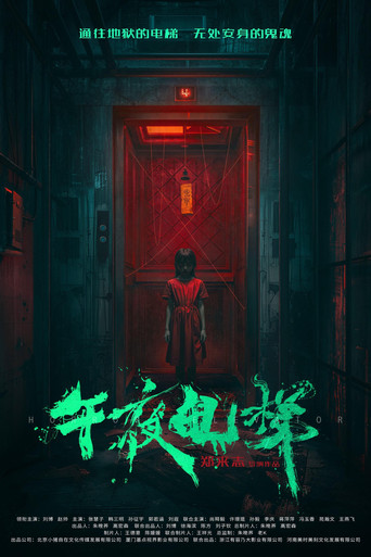 午夜电梯海报
