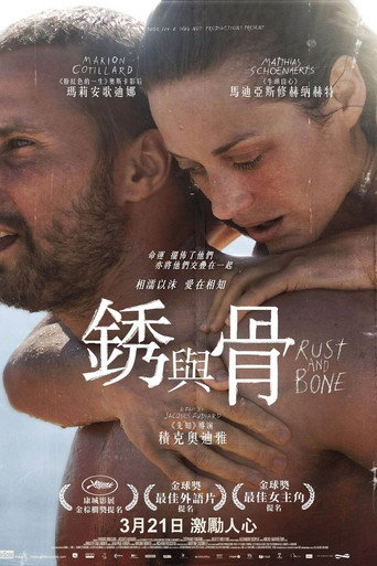 锈与骨海报