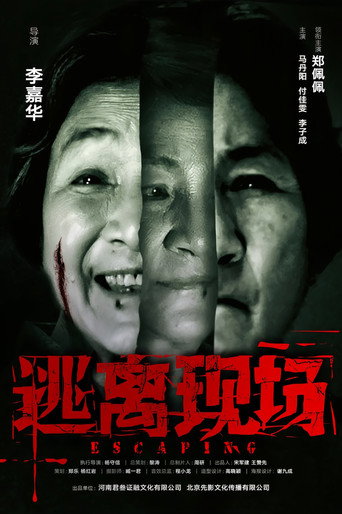 逃离现场海报
