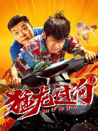 猛龙过沟2海报