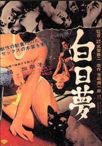 白日梦海报