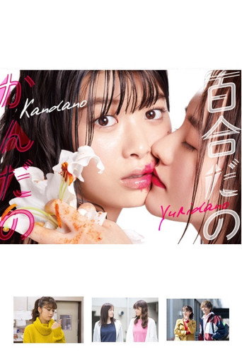 百合与直觉海报