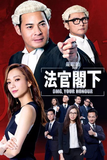 是咁的 法官阁下海报