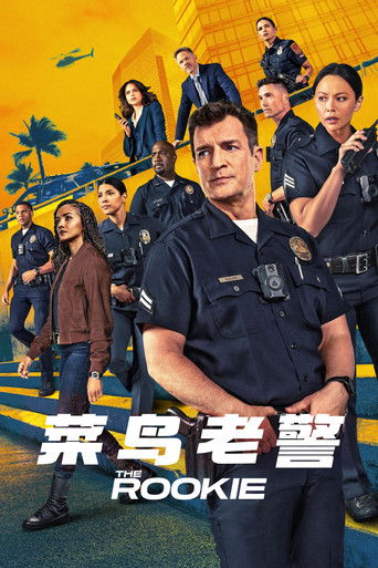 菜鸟老警海报