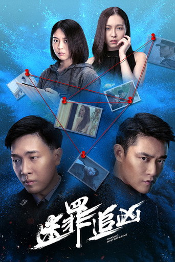 迷罪追凶海报
