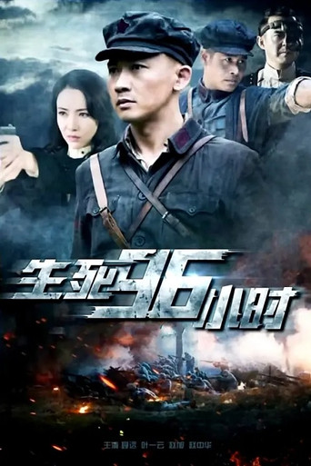生死96小时海报