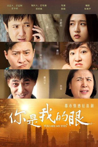你是我的眼海报