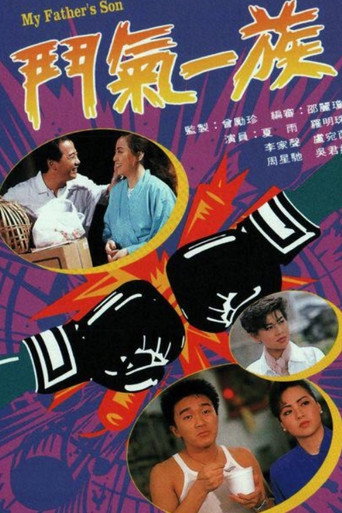 斗气一族海报