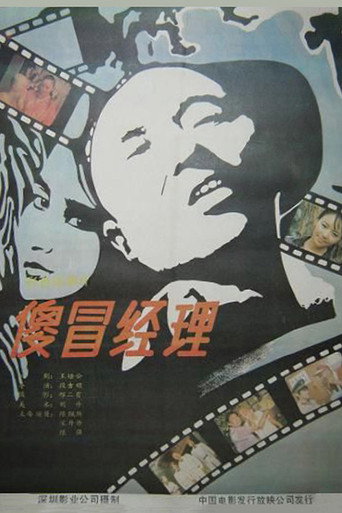 傻冒经理海报