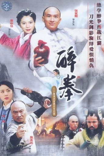 醉拳海报