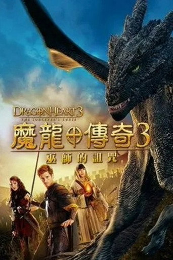 龙之心3：巫师的诅咒海报