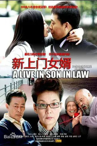 新上门女婿海报