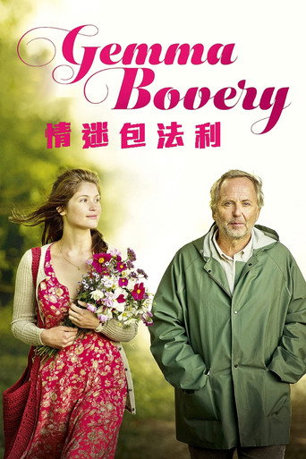 新包法利夫人海报