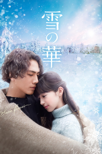雪之华海报