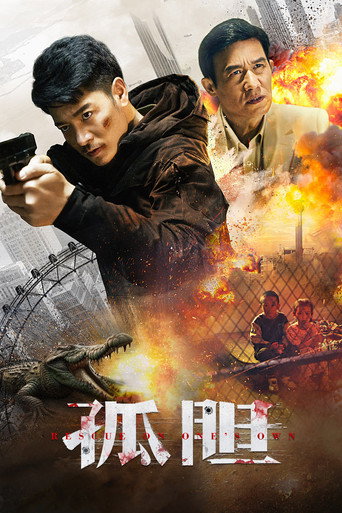 孤胆海报
