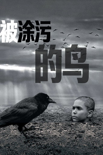 被涂污的鸟海报