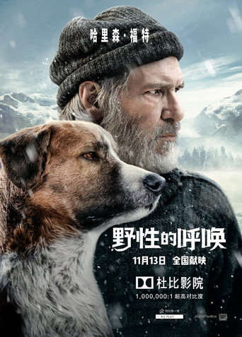 野性的呼唤海报