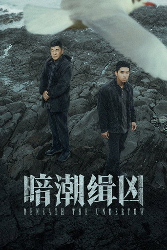 暗潮缉凶海报