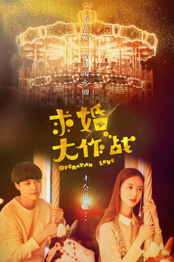 求婚大作战海报