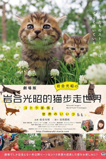 岩合光昭的猫步走世界海报