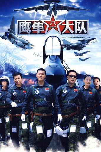 鹰隼大队海报