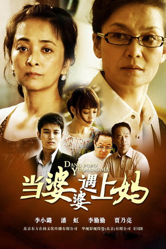 当婆婆遇上妈海报